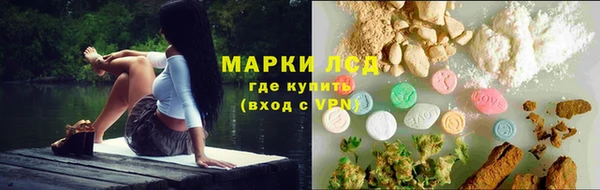 прущая мука Вяземский
