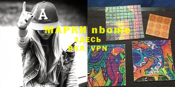 амф Горняк
