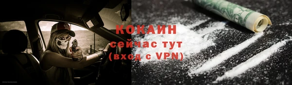 амф Горняк