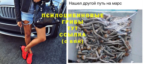 прущая мука Вяземский