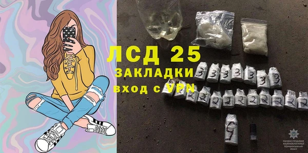 амф Горняк