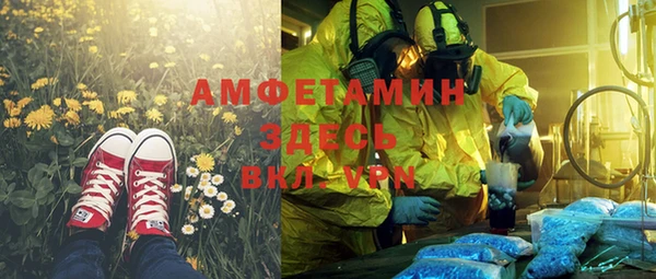 прущая мука Вяземский