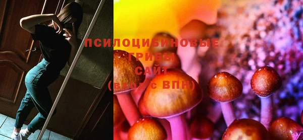 прущая мука Вяземский